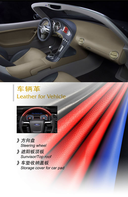 車輛革(圖13)