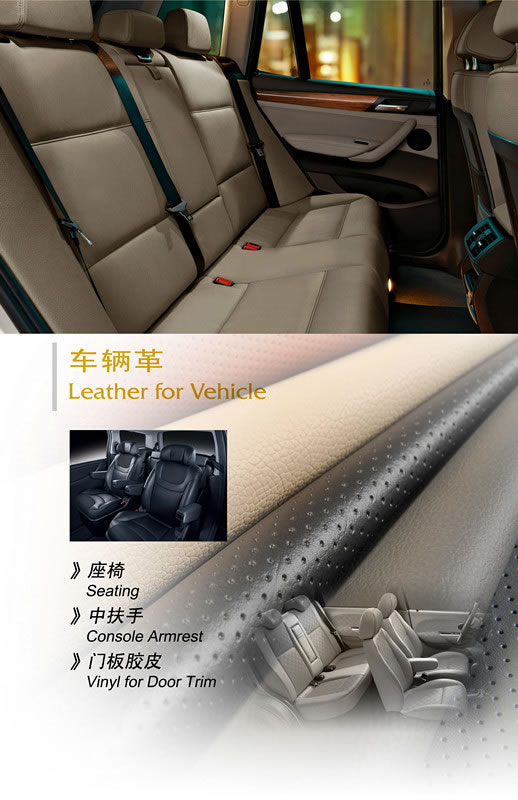車輛革(圖14)